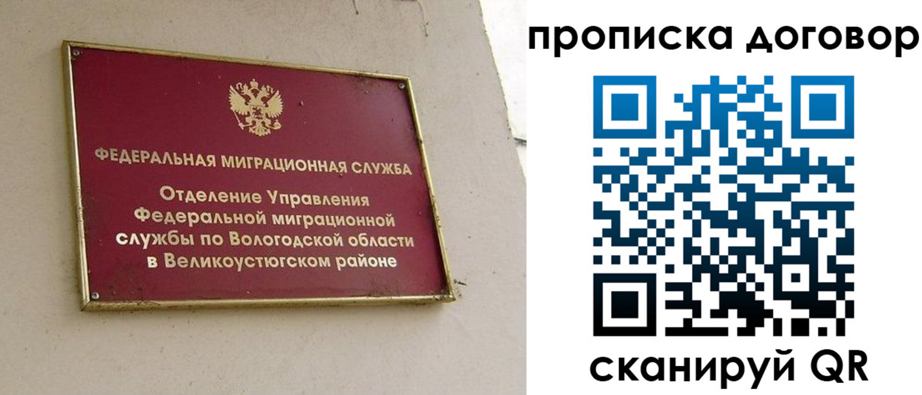 временная регистрация гарантия в Димитровграде